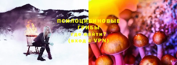 ПСИЛОЦИБИНОВЫЕ ГРИБЫ Абаза