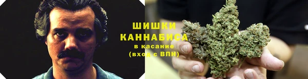ПСИЛОЦИБИНОВЫЕ ГРИБЫ Абаза