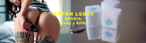 ПСИЛОЦИБИНОВЫЕ ГРИБЫ Абаза